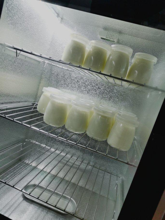 自制酸奶