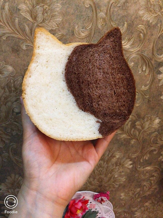 网红大猫猫头面包