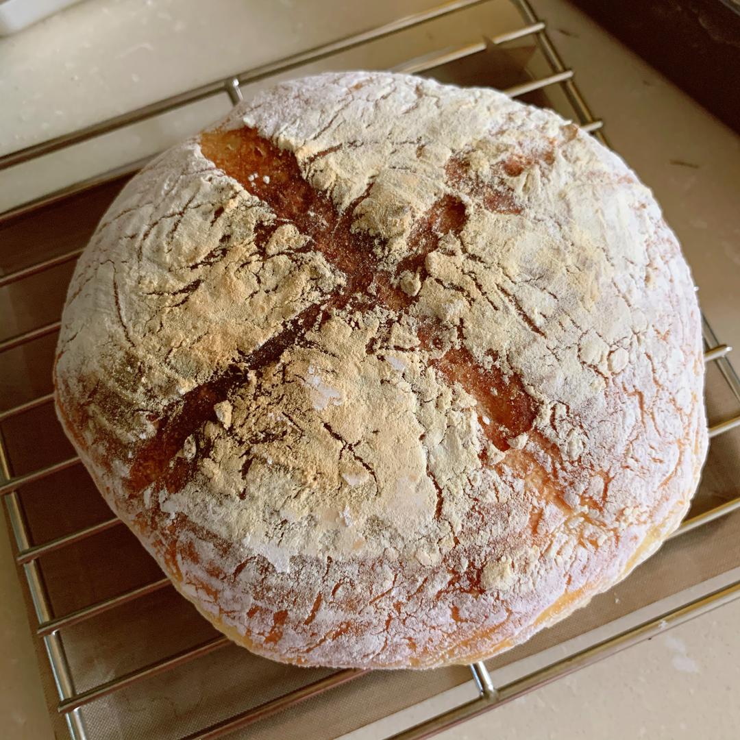 免揉欧包，基于立式迷你烤箱