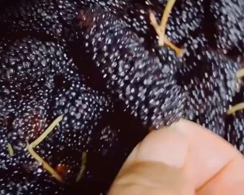 春天以上，夏天未满～～自酿最佳饮品桑椹酒