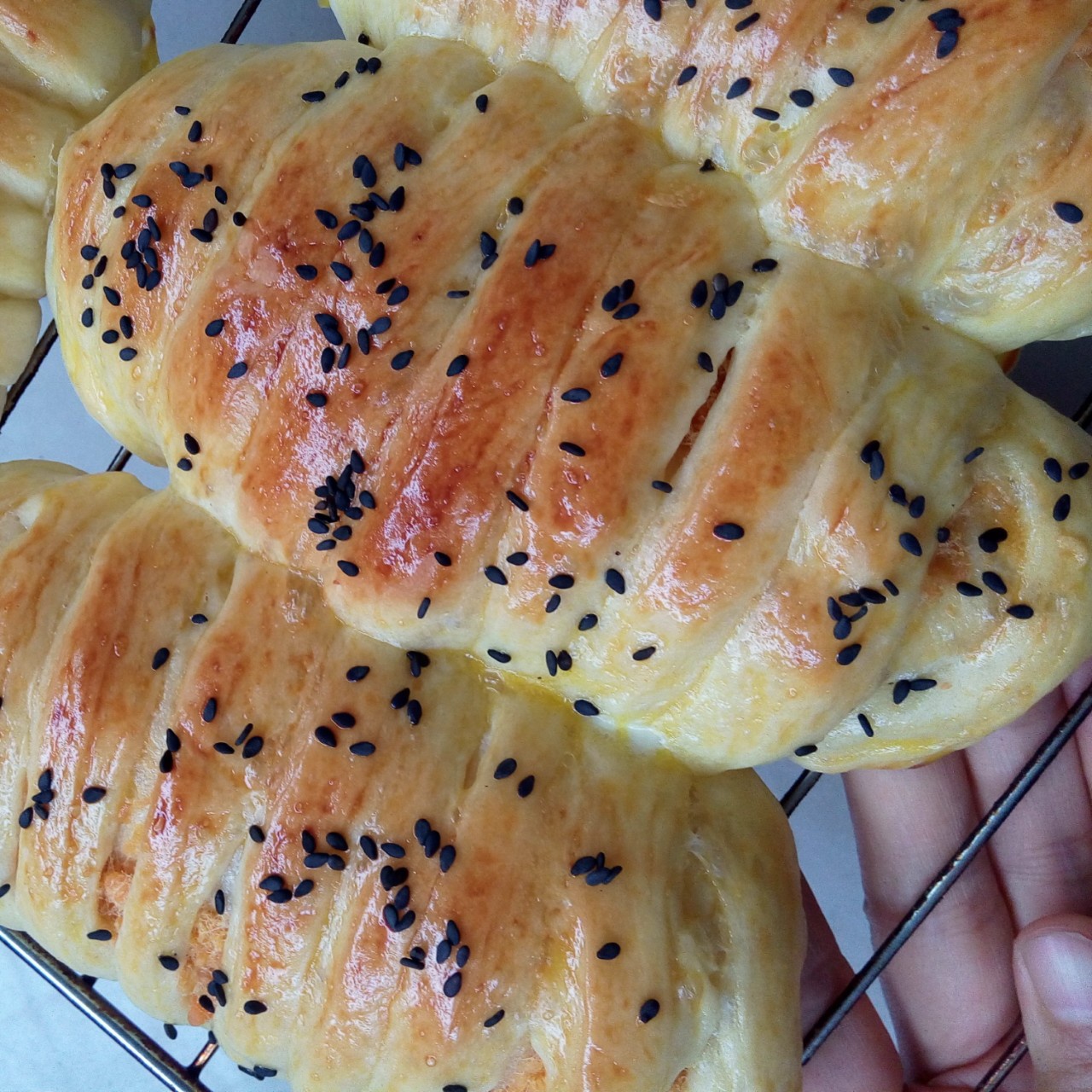 毛毛虫肉松面包