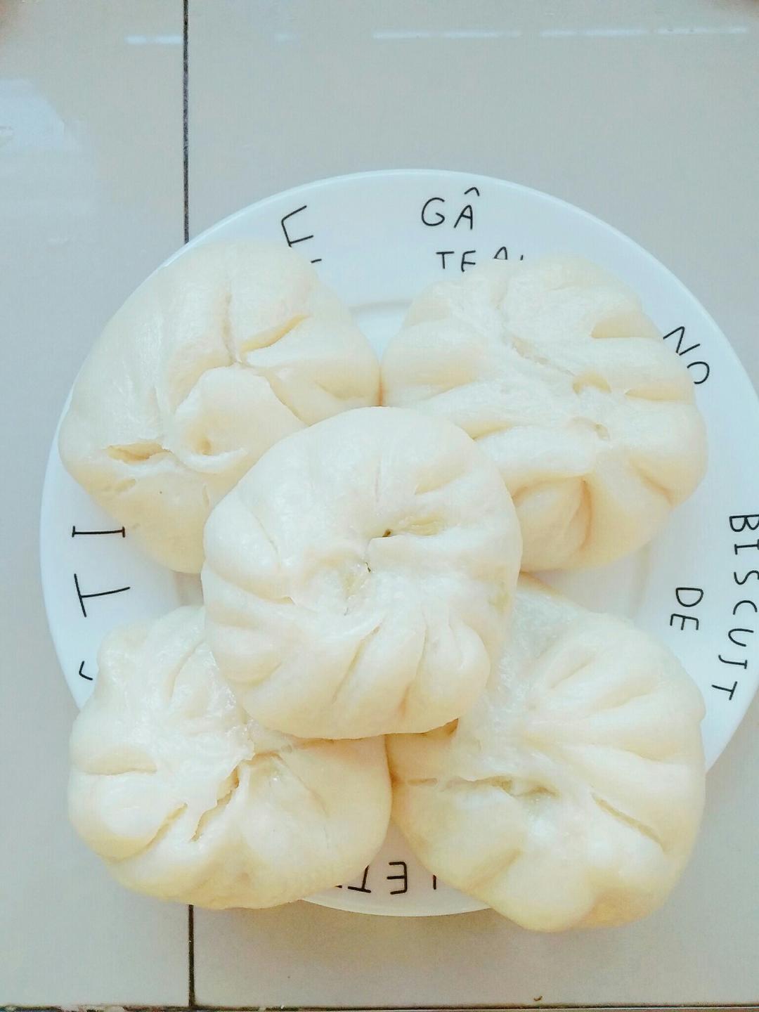 堂妈教你山菜鲜肉大包子