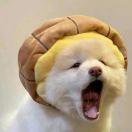 晴_owu2