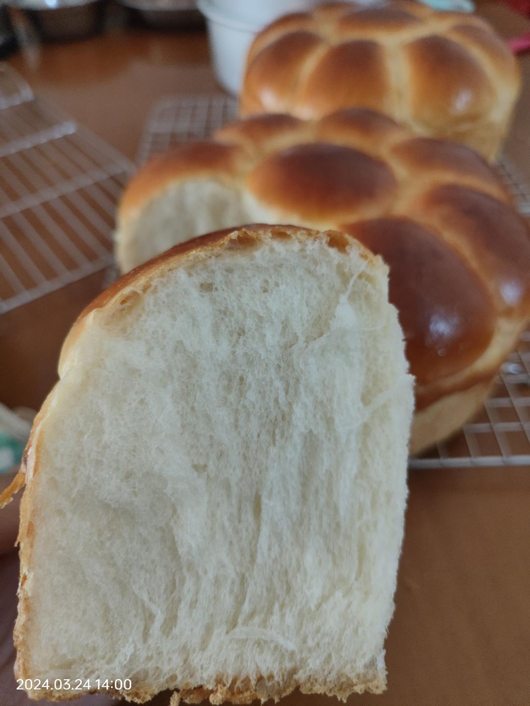 超软的牛奶小餐包