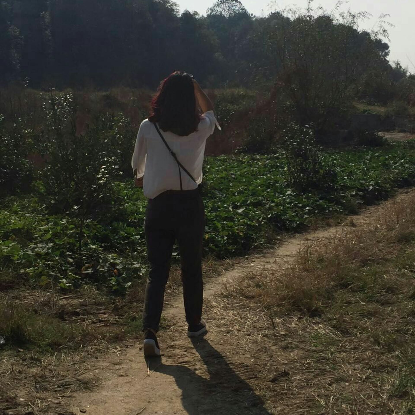 手机用户7874_nh5j