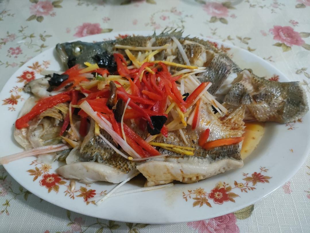 清蒸鲈鱼（桂鱼、多宝、鸦片鱼等）