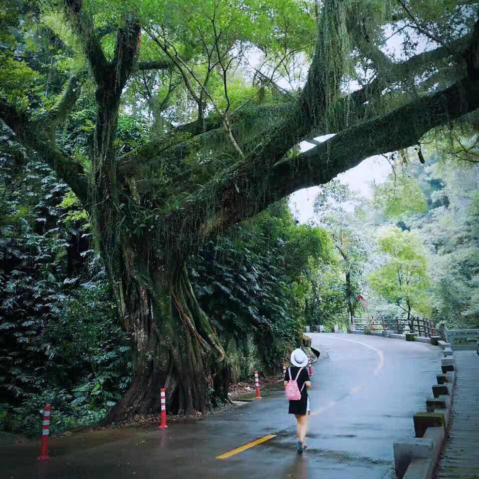 椰汁芒果糯米饭