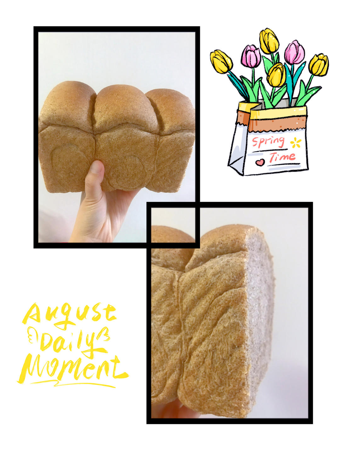 50%全麦吐司｜低糖低脂，吃起来不像是吃全麦的全麦吐司！