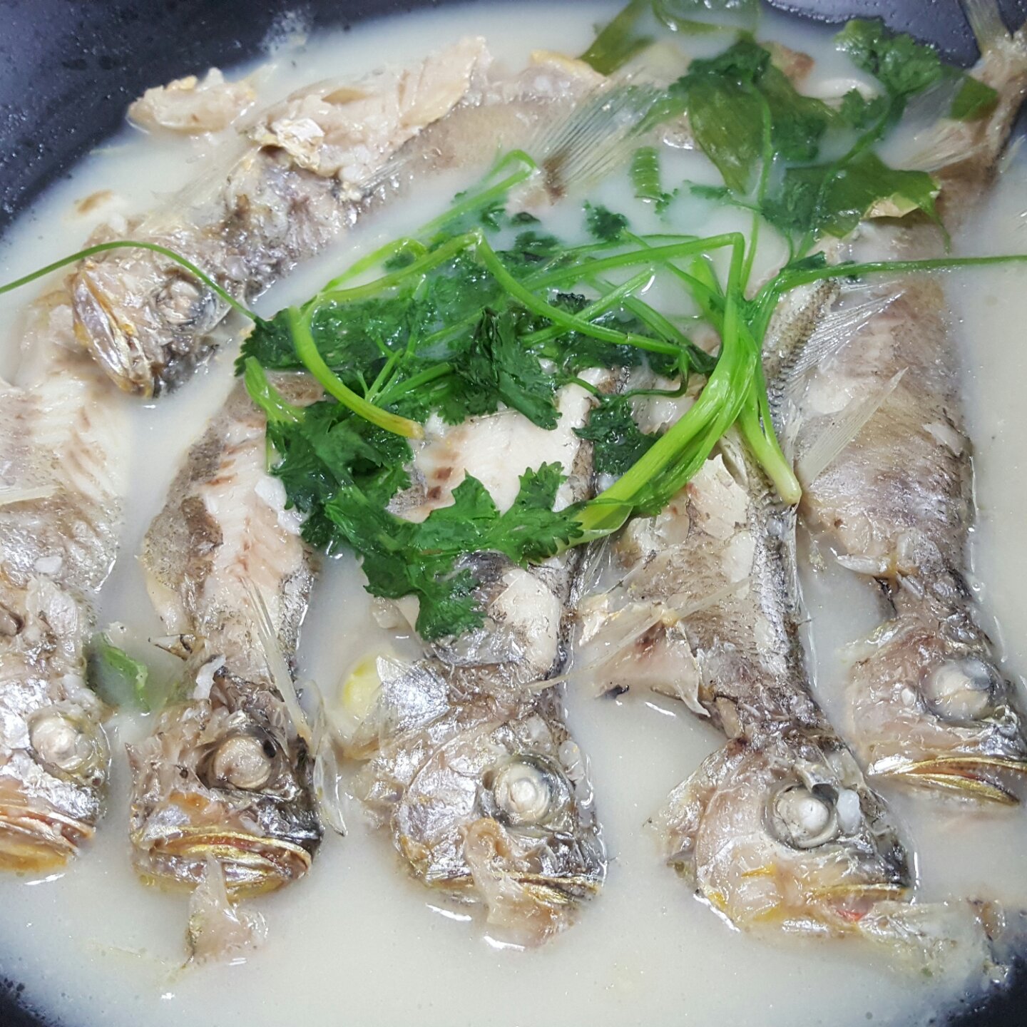 广东黄尾鱼汤图片