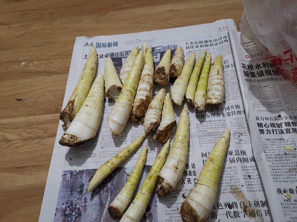 春笋雷笋处理及怎么做都好吃