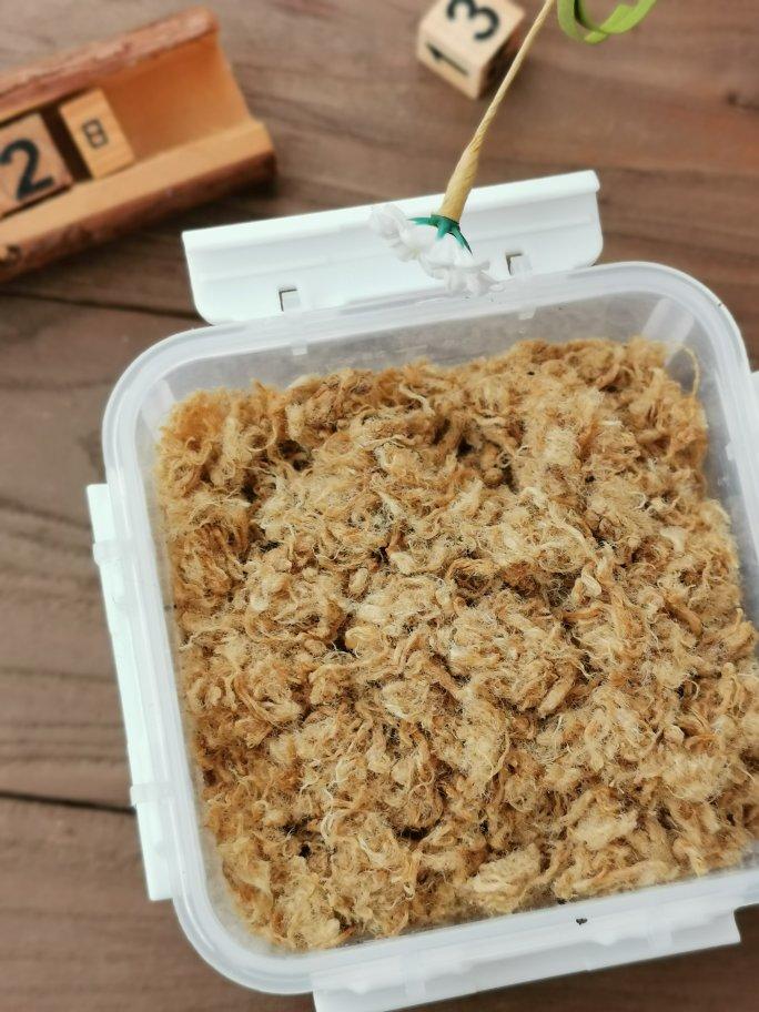 面包机肉松-超详解析自制肉松云朵般蓬松的终极奥秘媲美美珍香