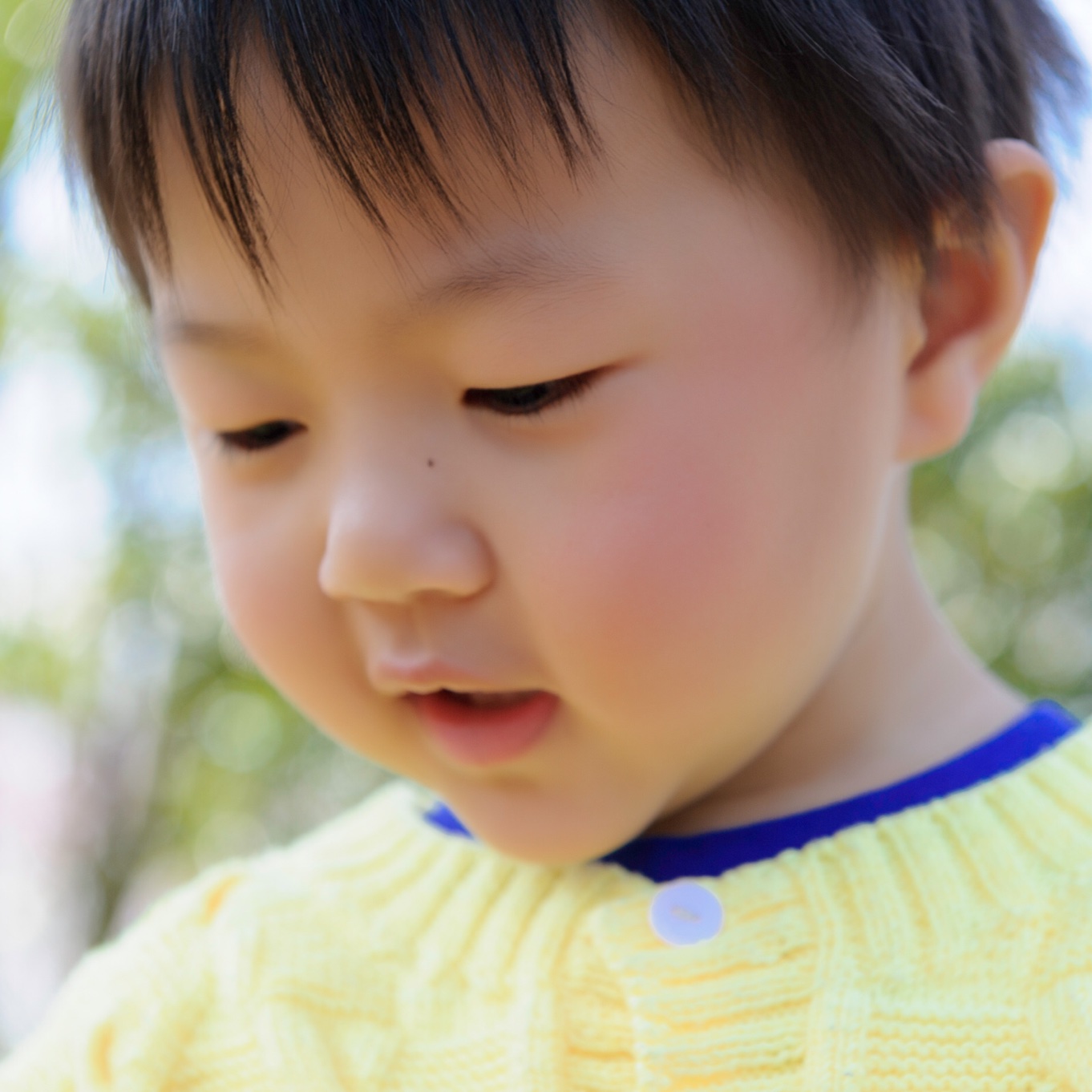 麦琪想想他