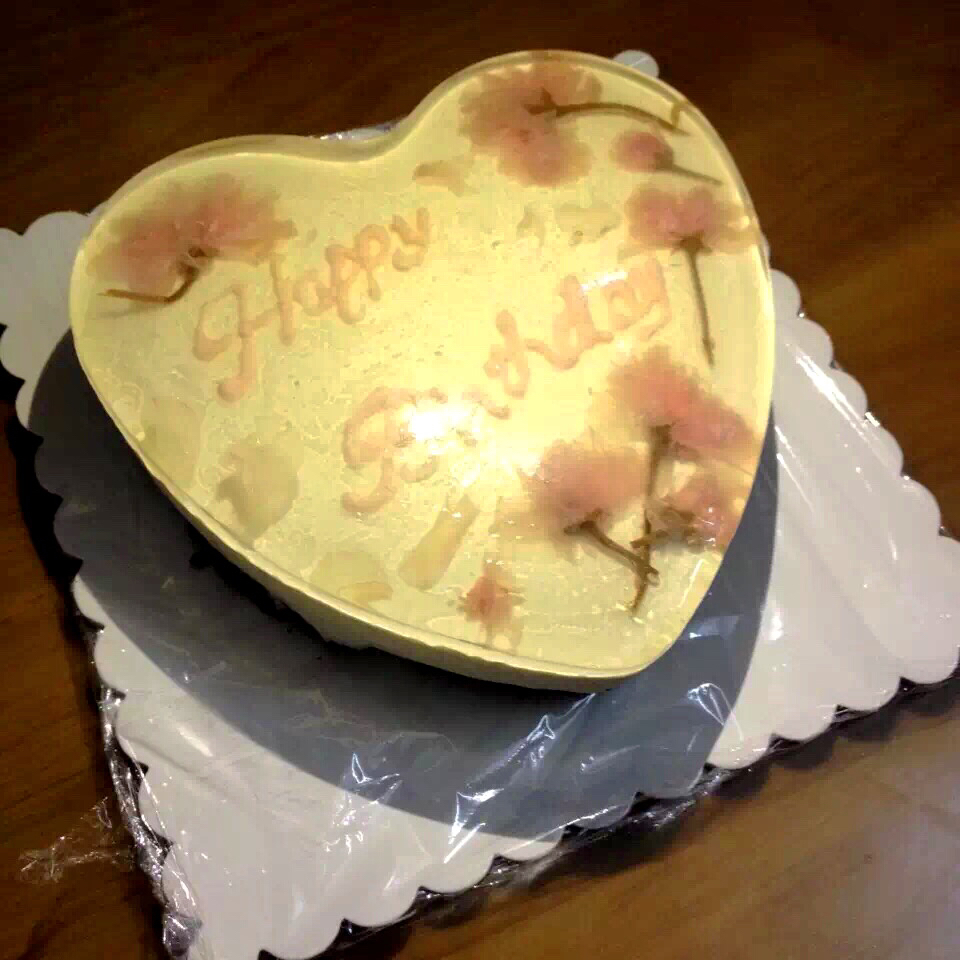 冻酸奶芝士蛋糕