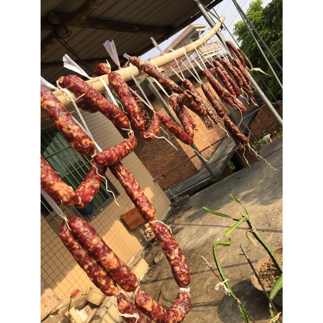 自制广味腊肠