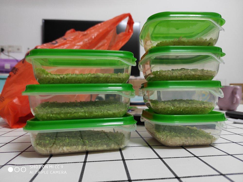 减脂餐记录