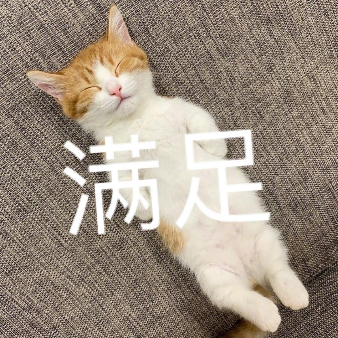沙拉呀