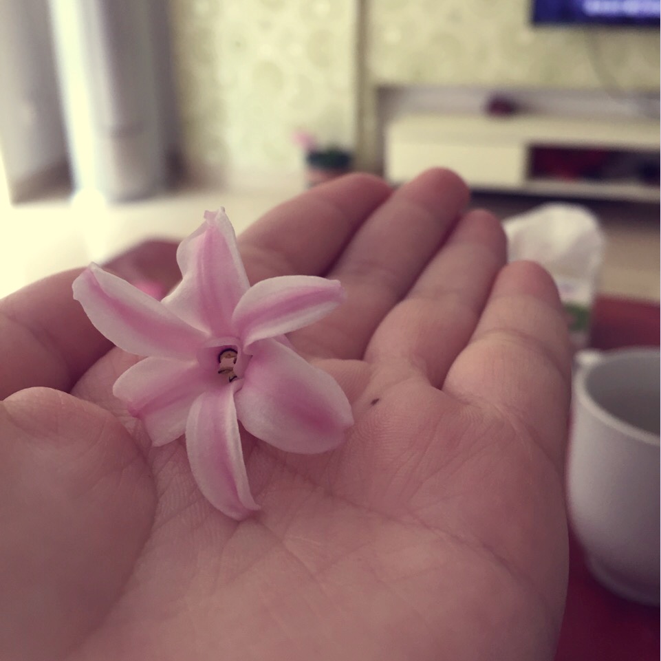 爱吐泡泡的喀秋莎