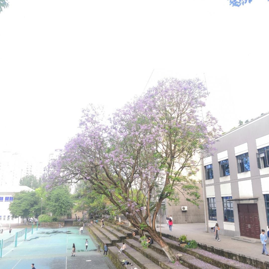 拖拉机虾虾要改行