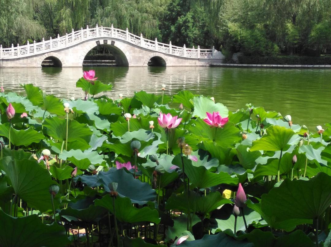 花的世界~与我的手作时光