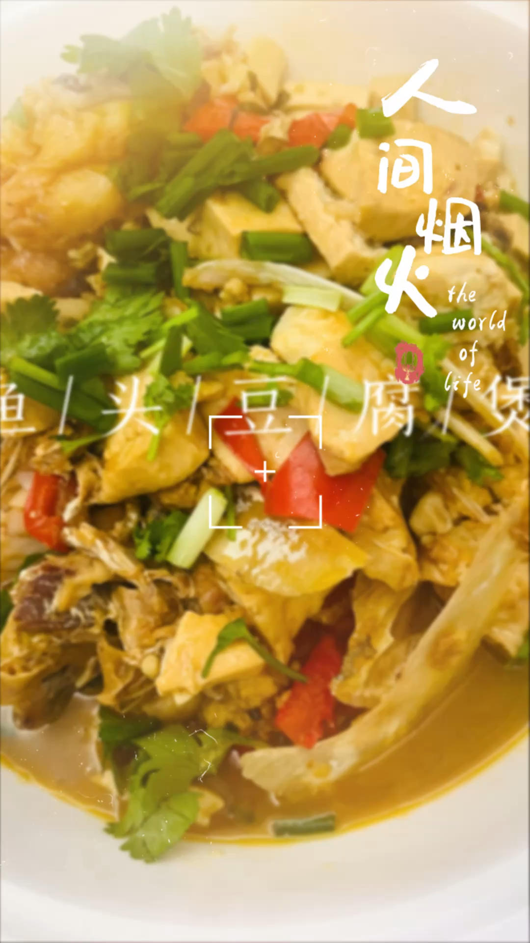 红烧鱼头豆腐