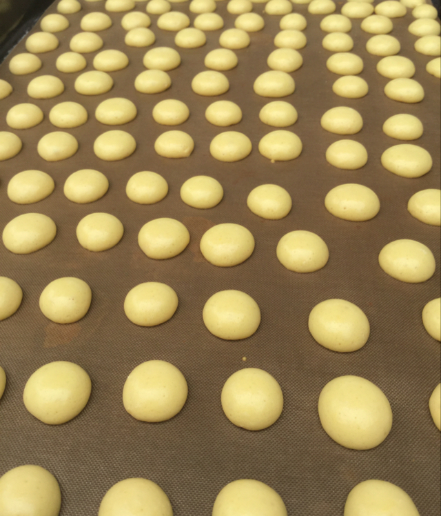 宝宝奶香蛋黄小溶豆