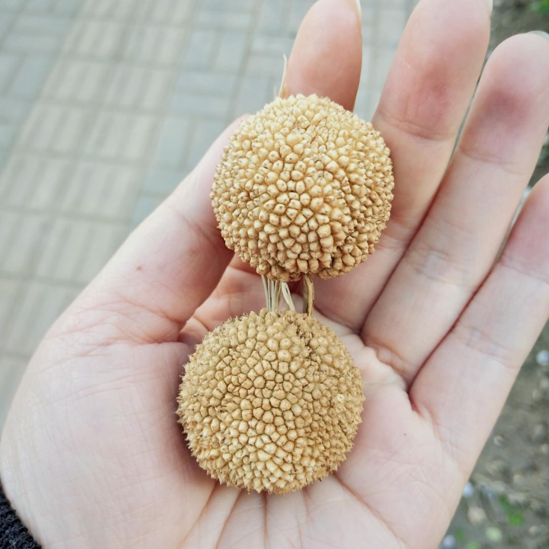 爱美食的N