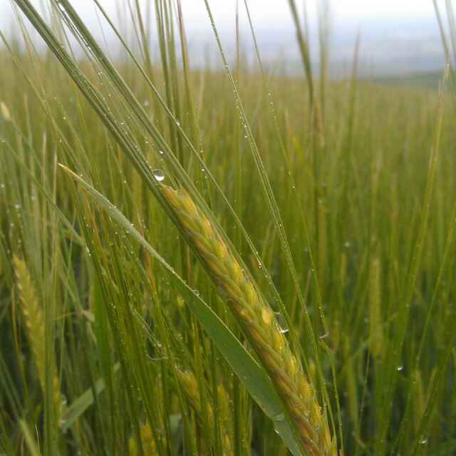 雨虹美食的厨房