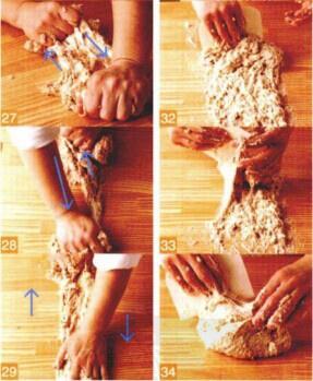 全麦面包【最详尽的面包制作教科书】的做法 步骤5