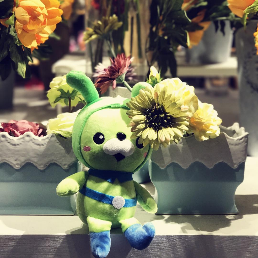 手机用户6326_zvno