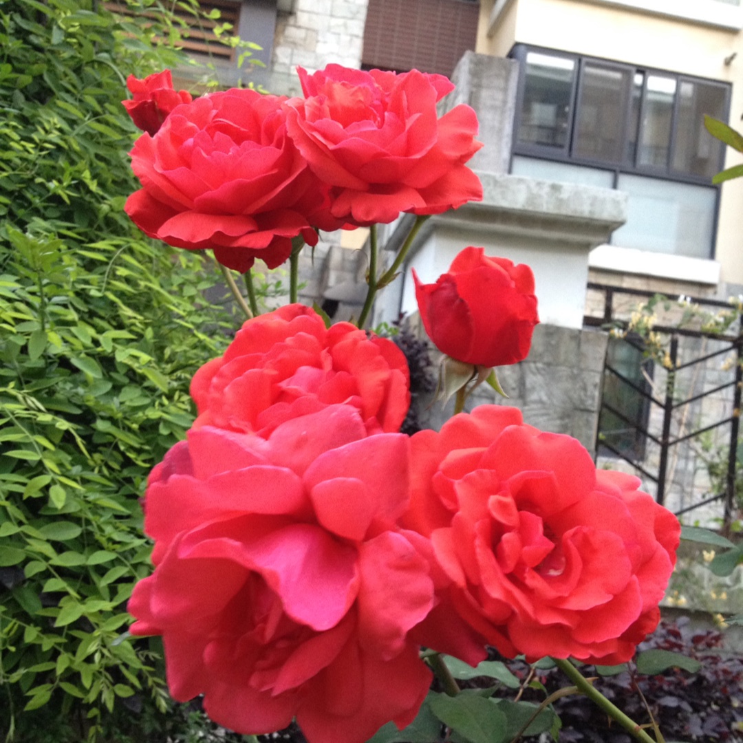 手机用户1816_zno2