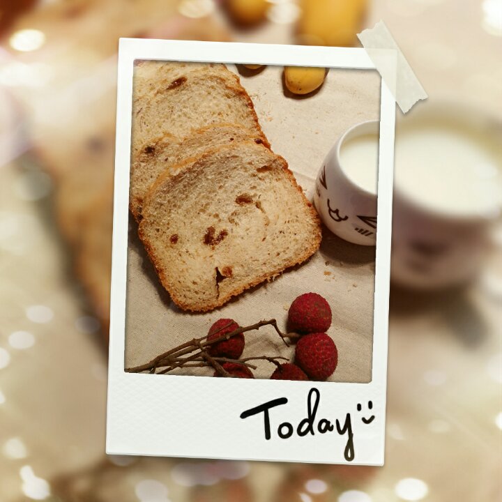 基础面包制作 Basic Bread (Loaf&Roll)