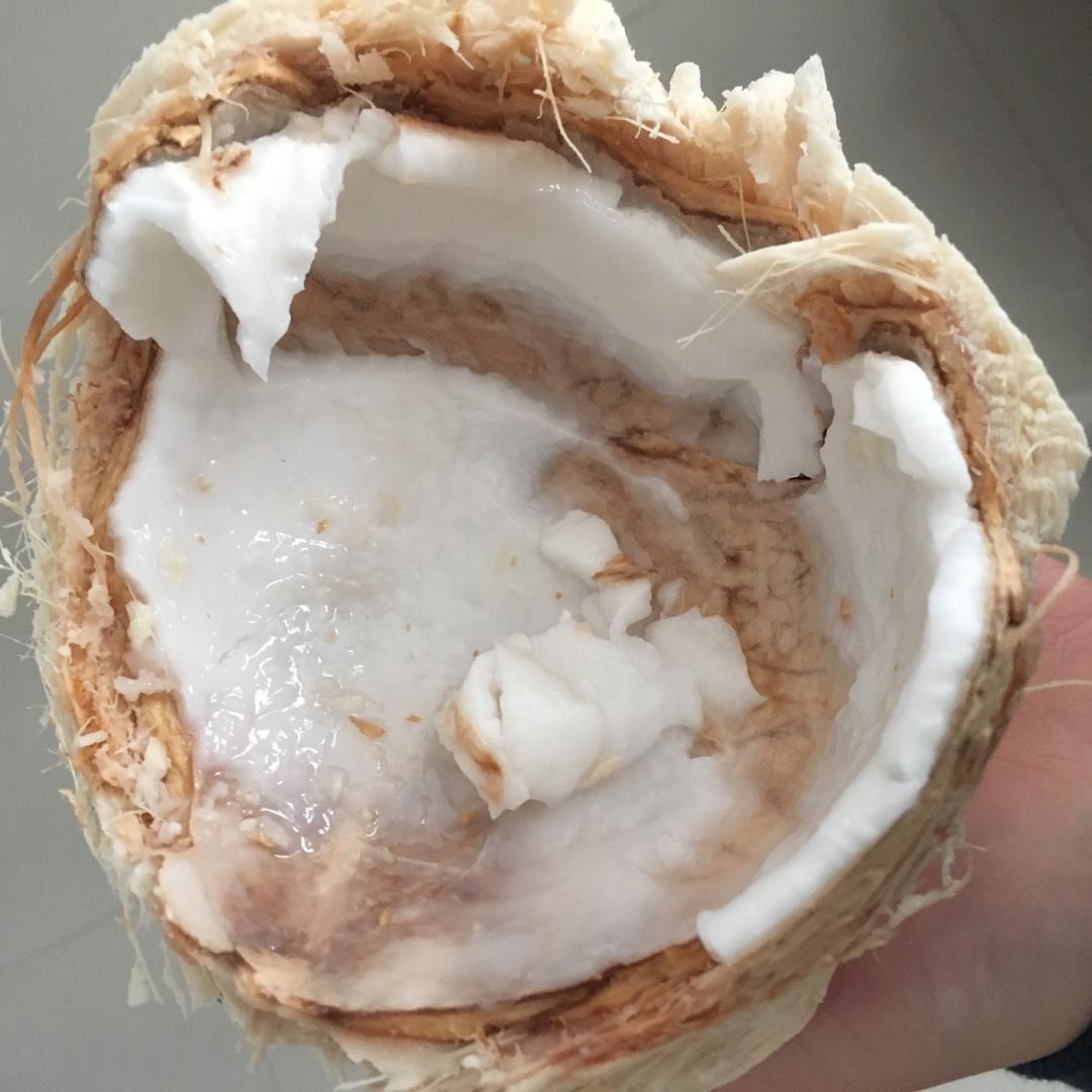 薄荷教你开椰子 ~