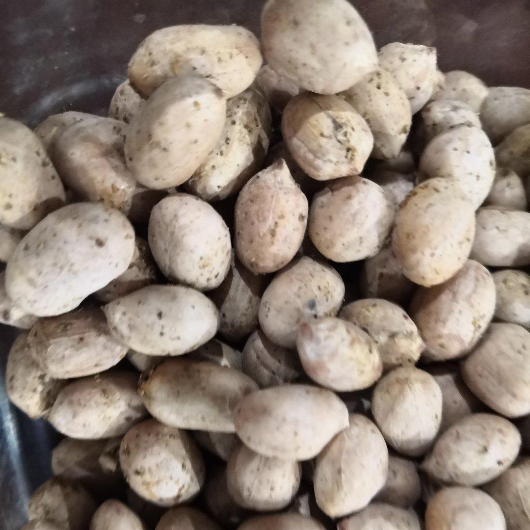 五香花生米空气炸锅版简单易做且非常脆