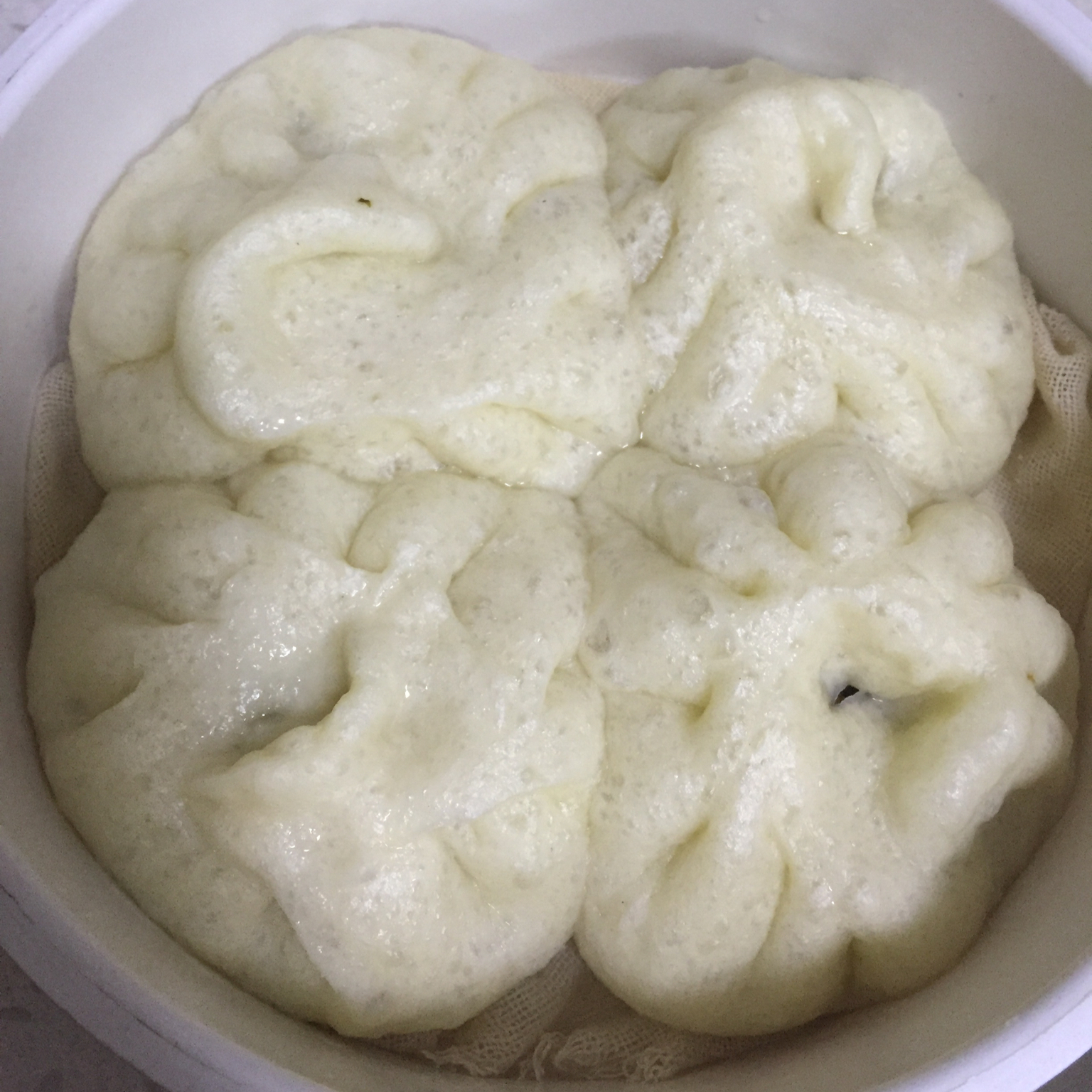 包子（冬天简单发酵版）