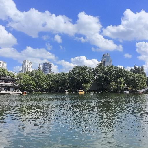 将来的陈大师