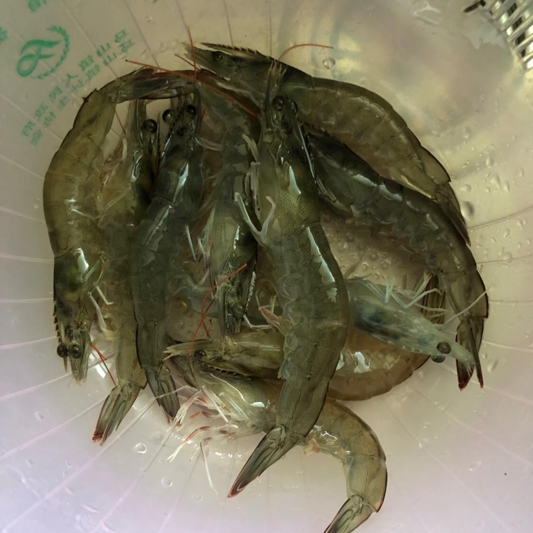 鲜虾排骨粥（砂锅）