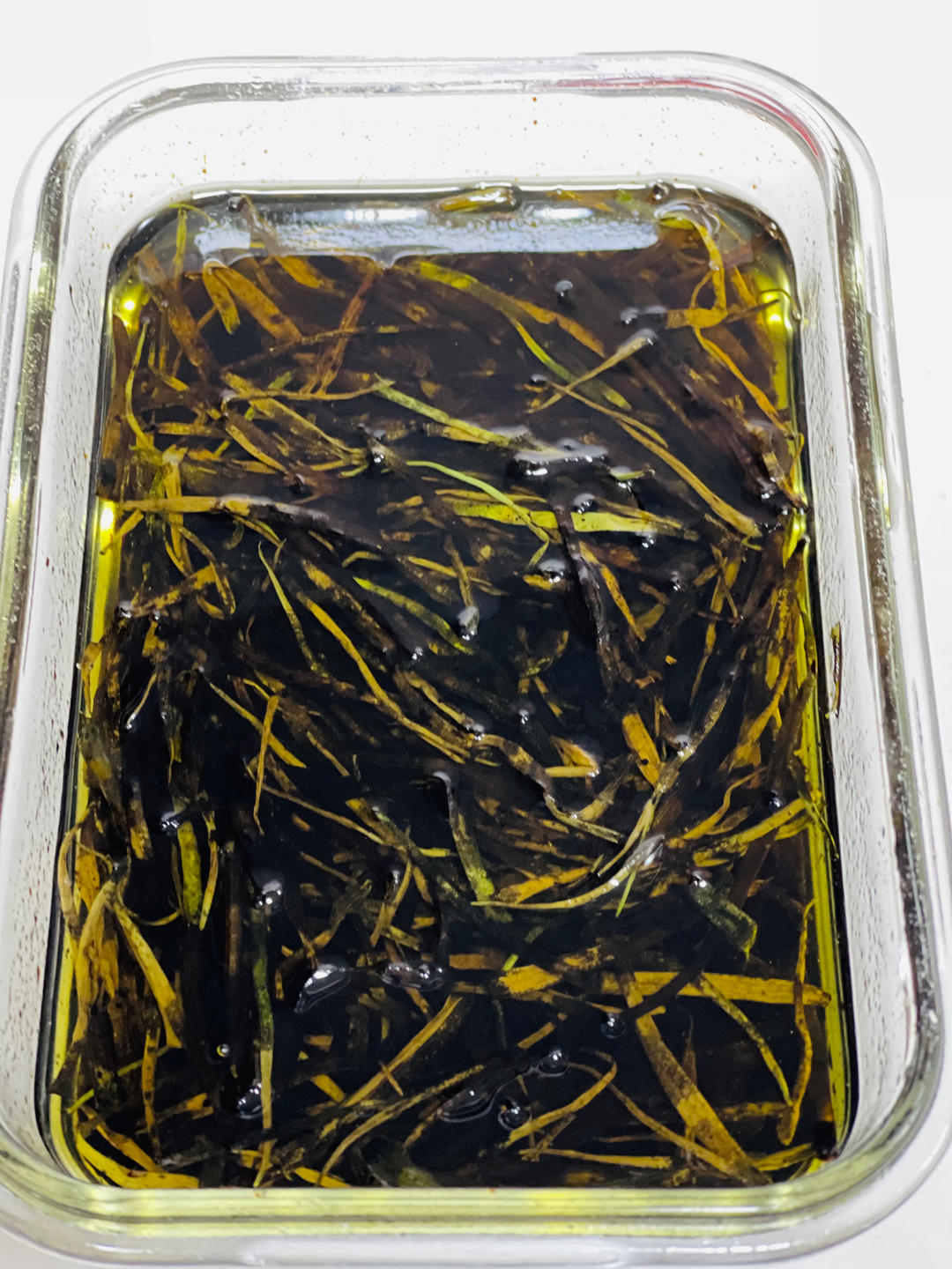 家常葱油制作（绝味葱油面）超详细