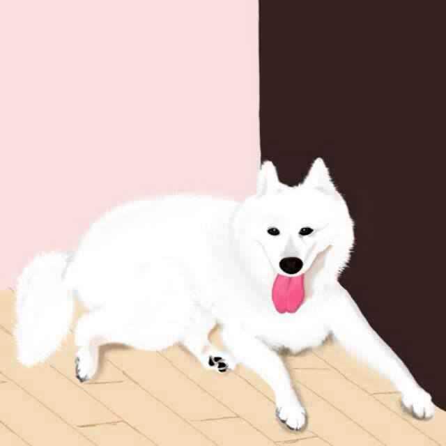 手机用户3425_qvp5