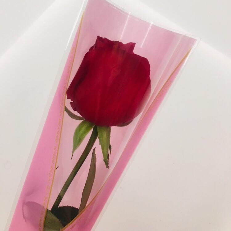 白菜家保姆