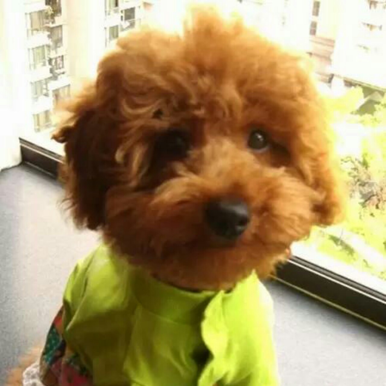 手机用户8227_ixu2