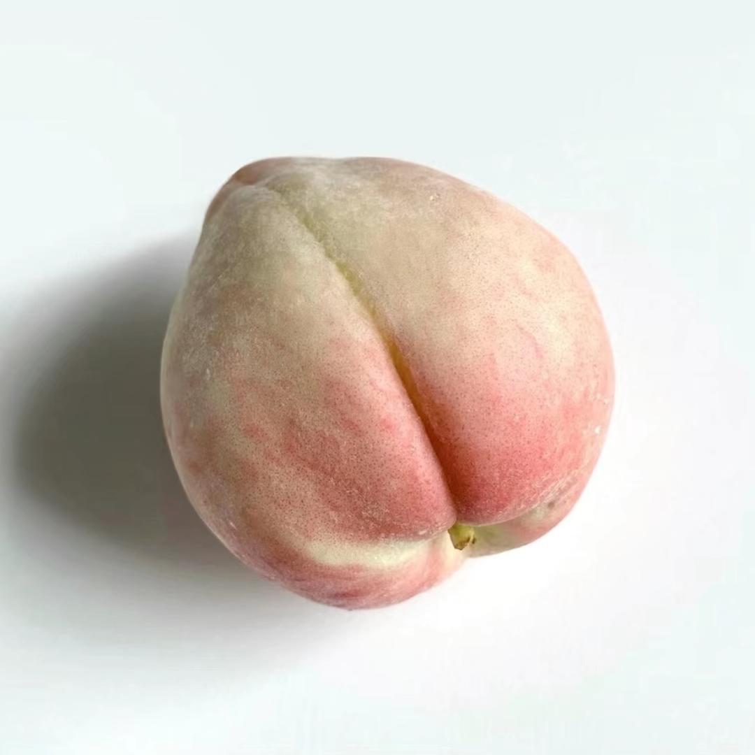 夜鸣春涧