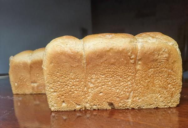 既粗犷又柔软的咖啡欧包-周记01（波兰种/配方比例/操作/时长）