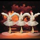 手机用户4815_phi7