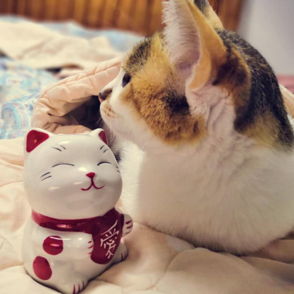走义