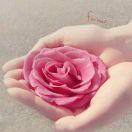 8599_elhw