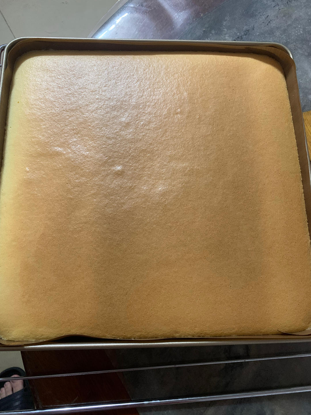 原味基础蛋糕卷(小五卷)