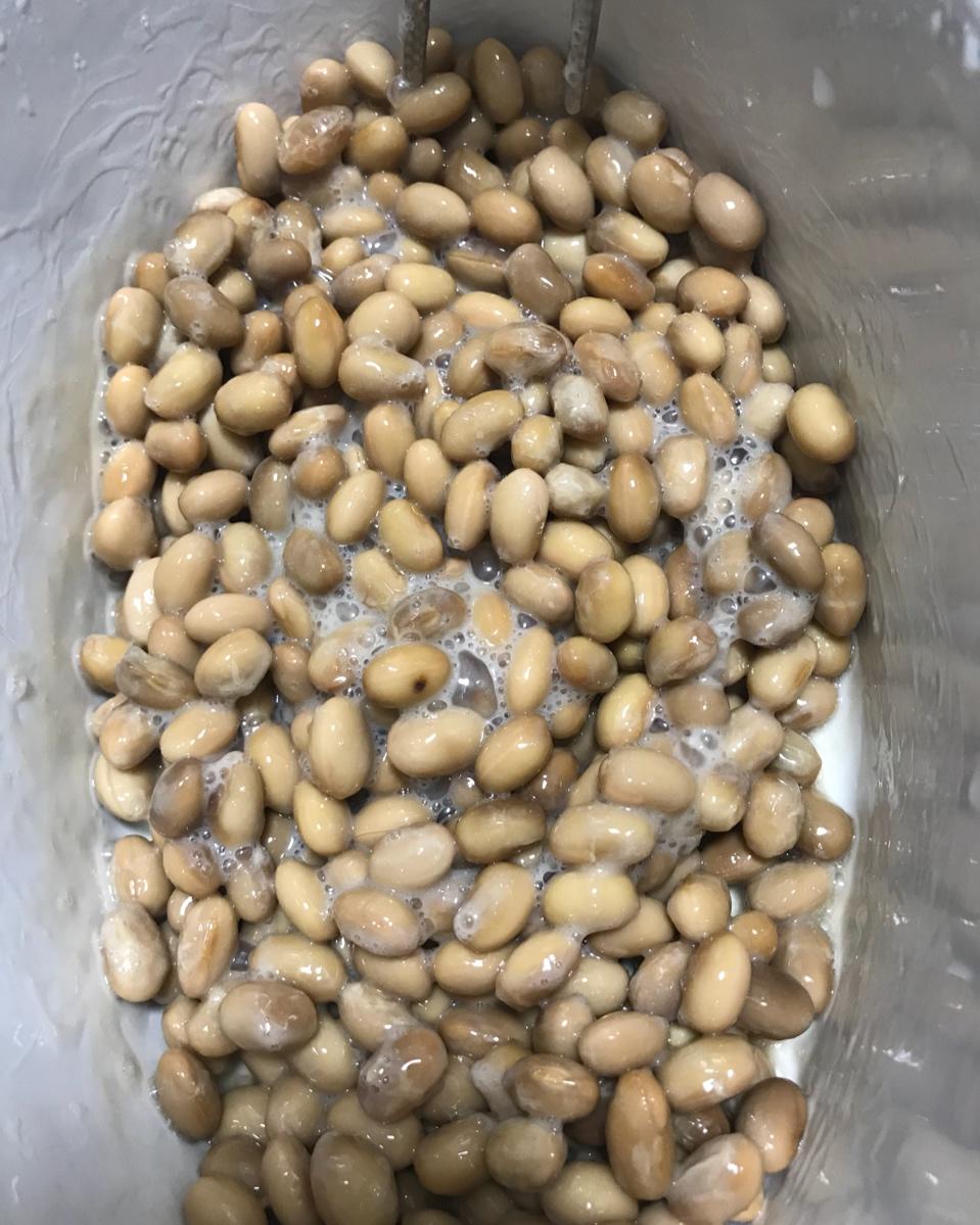 自制纳豆（酸奶机，面包机，烤箱版）