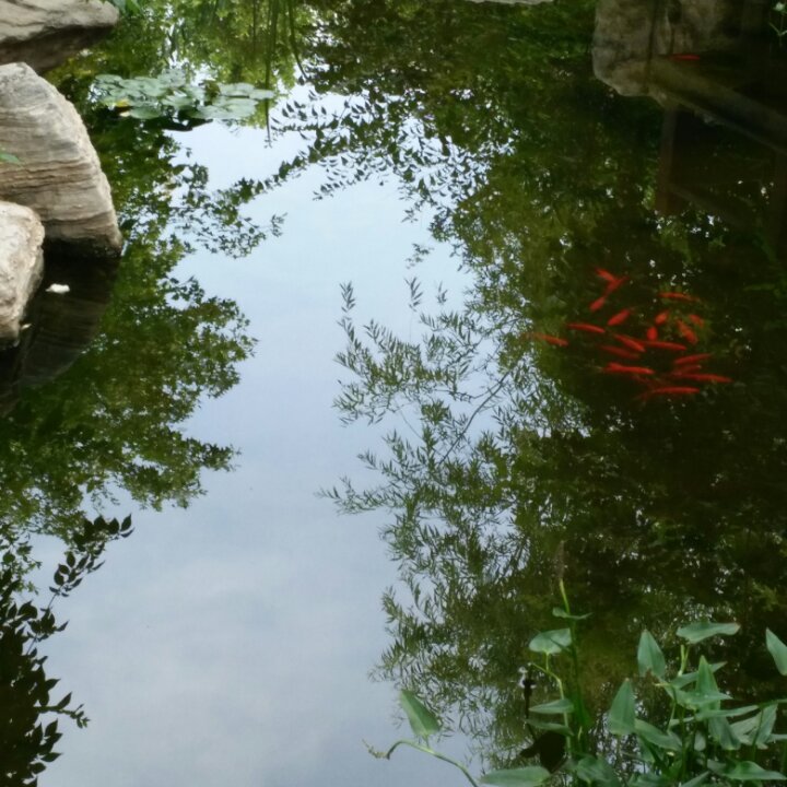 手机用户6199_3kv6