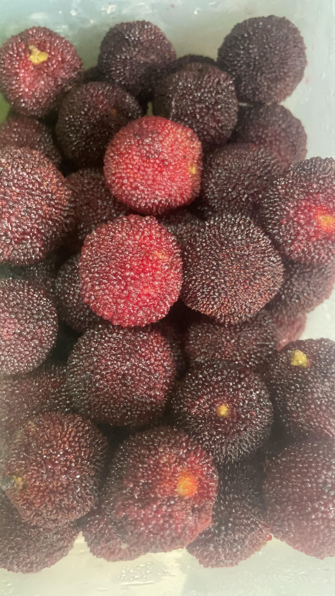 简易去核杨梅酱