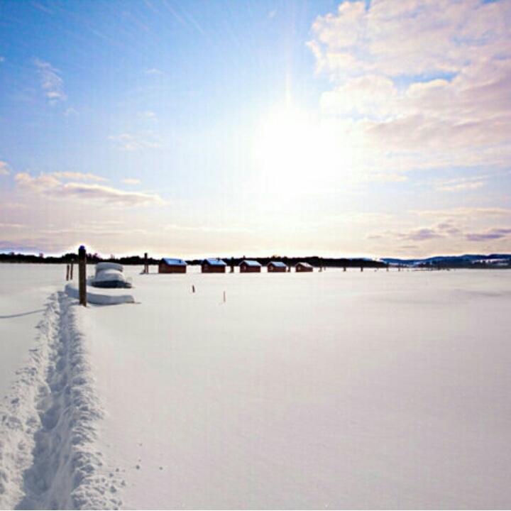 幸福-像花儿一样
